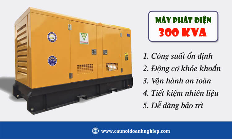 Máy phát điện 300kva 