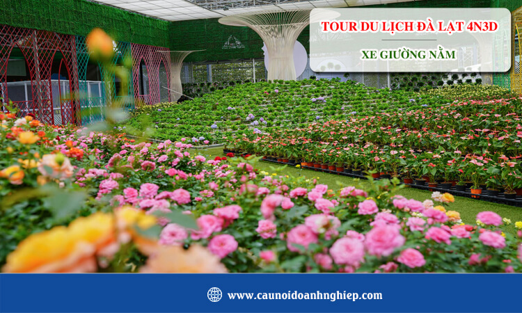 Tour du lịch Đà Lạt 4 ngày 3 đêm xe giường nằm