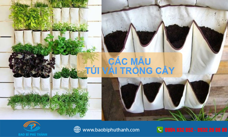 Túi vải trồng cây